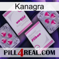 Kanagra 33